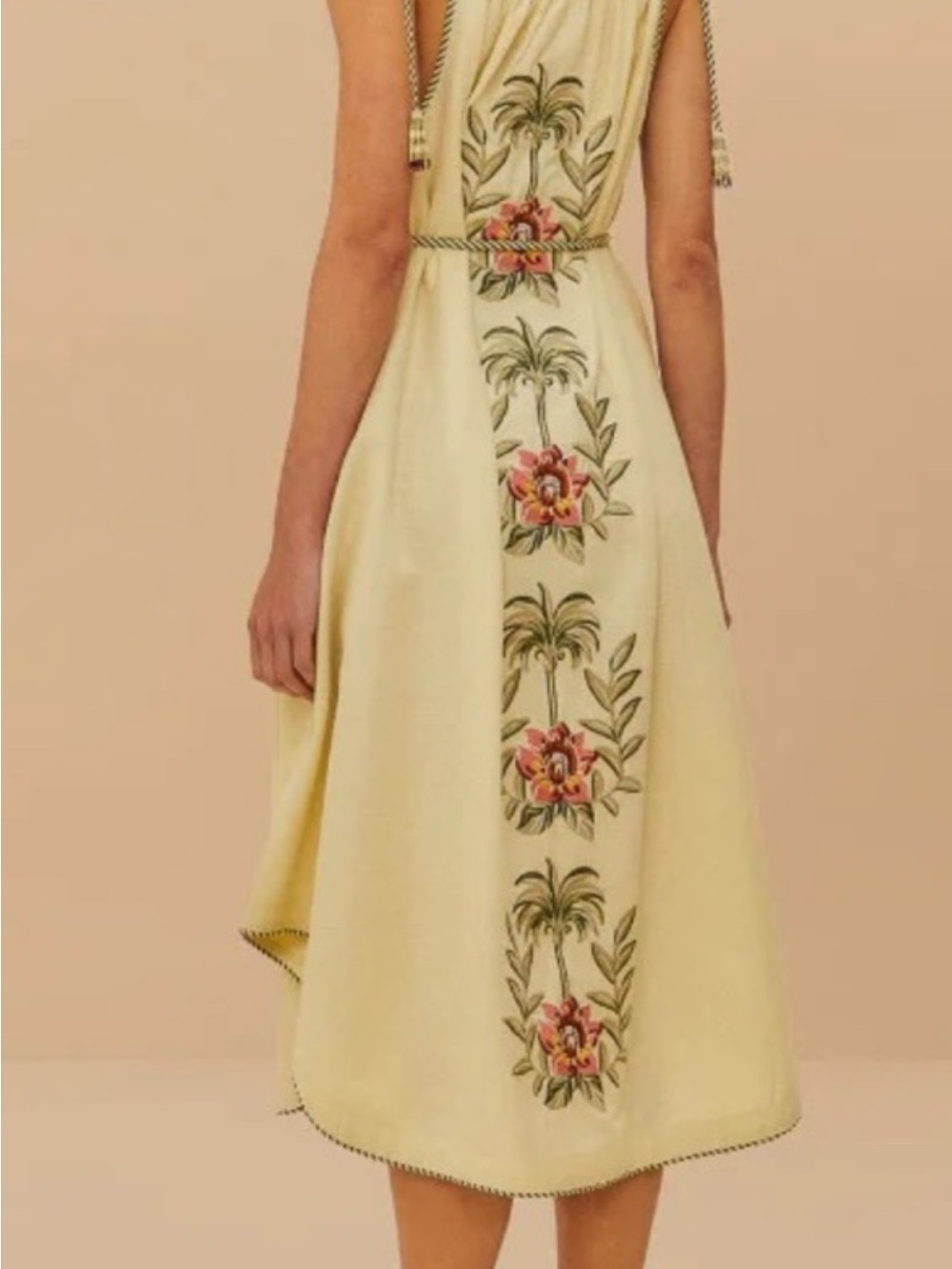 FARM Rio Cream Maxi Dress with Pink Floral Embroidery - Picture 2 of 4